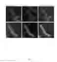 Fig. 05 - A PROTEIN TAGGING SYSTEM FOR IN VIVO SINGLE MOLECULE IMAGING AND CONTROL OF GENE TRANSCRIPTION