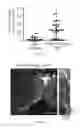 Fig. 12 - A PROTEIN TAGGING SYSTEM FOR IN VIVO SINGLE MOLECULE IMAGING AND CONTROL OF GENE TRANSCRIPTION