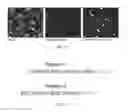 Fig. 17 - A PROTEIN TAGGING SYSTEM FOR IN VIVO SINGLE MOLECULE IMAGING AND CONTROL OF GENE TRANSCRIPTION