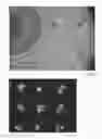 Fig. 24 - Eluting analytes from bead arrays