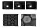 Fig. 35 - Eluting analytes from bead arrays