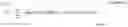 Fig. 02 - Circular vertical hall (CVH) sensing element with sliding integration
