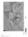 Fig. 06 - 3D blending and illumination of seismic volumes for automatic derivation of discontinuities