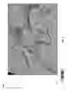Fig. 07 - 3D blending and illumination of seismic volumes for automatic derivation of discontinuities