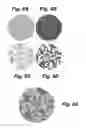 Fig. 07 - Spatially multiplexed dielectric metasurface optical elements