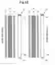 Fig. 43 - Image display device
