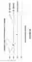 Fig. 32 - Electro-optical devices using dynamic reconfiguration of effective electrode structures
