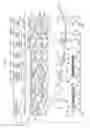 Fig. 02 - Image forming apparatus