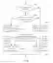 Fig. 10 - METHOD AND DEVICE FOR IMPLEMENTING VIRTUAL BUTTON THROUGH CAMERA, AND COMPUTER-READABLE RECORDING MEDIUM