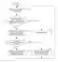 Fig. 01 - IMAGE DISPLAY APPARATUS