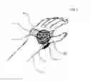 Fig. 07 - Wearable Locomotion Capture Device