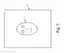Fig. 08 - Compact biometric acquisition system and method