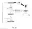 Fig. 22 - Compact biometric acquisition system and method