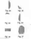 Fig. 07 - Methods and systems for enrolling biometric data