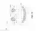 Fig. 06 - Spatial analysis with attribute graphs