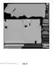 Fig. 09 - Orthogonal-projection-based texture atlas packing of three-dimensional meshes