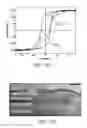 Fig. 06 - L1-ordered MnAl thin films with high perpendicular magnetic anisotropy, and structures and devices made therewith