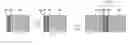 Fig. 01 - Vacancy-modulated conductive oxide resistive RAM device including an interfacial oxygen source layer