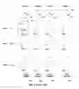 Fig. 02 - Methods for reading and operating memory device including efuse