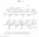 Fig. 02 - Magnetic domain wall motion device based on modulation of spin-orbit torque