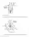 Fig. 01 - Charged particle beam device