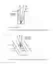 Fig. 02 - Charged particle beam device