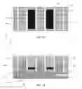 Fig. 02 - Semiconductor device and a method for fabricating the same