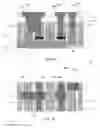 Fig. 06 - Semiconductor device and a method for fabricating the same
