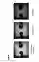 Fig. 05 - NITRIDE SEMICONDUCTOR LIGHT EMITTING ELEMENT AND METHOD FOR MANUFACTURING THE SAME