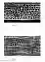 Fig. 02 - SEPARATORS, BATTERIES, SYSTEMS, VEHICLES, AND RELATED METHODS