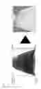 Fig. 02 - Positive electrode active material for lithium secondary battery, method of preparing the same and lithium secondary battery including the same