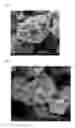 Fig. 02 - Cathode active material having excellent electrochemical properties and lithium secondary battery comprising the same