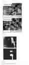 Fig. 03 - Electrochemical element comprising cellulose nanofiber separator and method for producing same