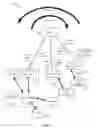 Fig. 02 - Asymmetric forward link and reverse link subframe split