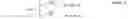 Fig. 02 - Method of transmitting scheduling request in a wireless communication system