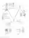 Fig. 02 - Synchronous communication