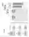 Fig. 17 - Systems and methods for decrypting digital art and imaging for display of the same
