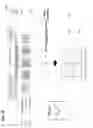Fig. 26 - Systems and methods for decrypting digital art and imaging for display of the same