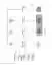 Fig. 13 - Integrated data extraction and retrieval system