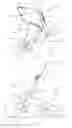 Fig. 02 - STAND FOR MOBILE PHONE