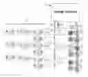 Fig. 01 - Video Projection System And Method For Synchronizing Images