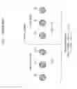 Fig. 02 - Filtering method for performing deblocking filtering on a boundary between an intra pulse code modulation block and a non-intra pulse code modulation block which are adjacent to each other in an image