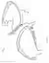 Fig. 48 - Multi-function bone conducting headphones