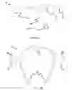 Fig. 52 - Multi-function bone conducting headphones