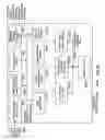 Fig. 99 - Device group partitions and settlement platform