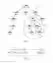 Fig. 02 - Promiscuous detection and intercepted forwarding by parent network device in a storing-mode tree-based network