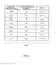 Fig. 06 - Method and apparatus for random access to radio services