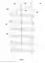 Fig. 05 - Fodder Growing System and Method