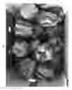 Fig. 02 - Red-yellow striped peppers
