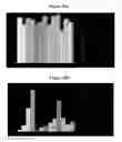 Fig. 49 - METHOD FOR TREATING POST-EMERGENT RICE